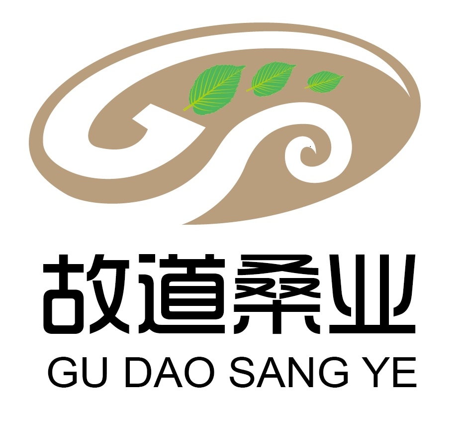 喝茶就可以防脫生發(fā)，太神奇了！桑葉養(yǎng)生茶
